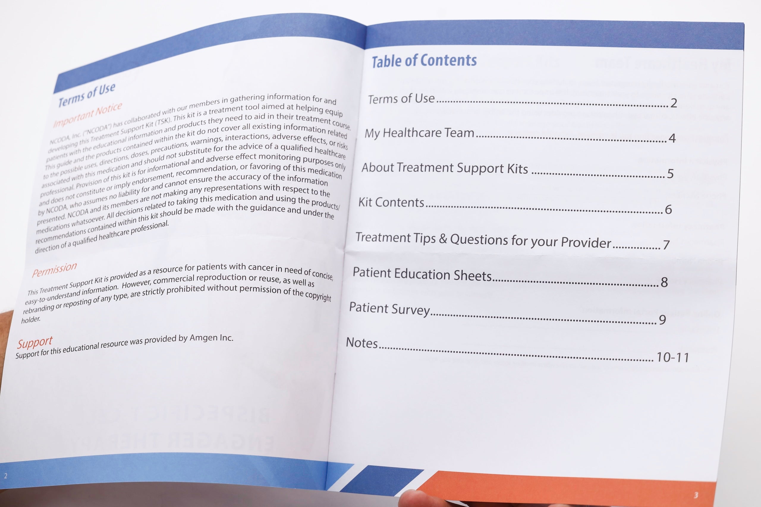 Generic Bispecific T-cell Engager Kit (BiTE)